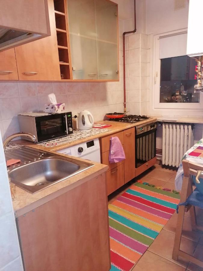 River View, In City Center Apartment Bukarest Exterior foto
