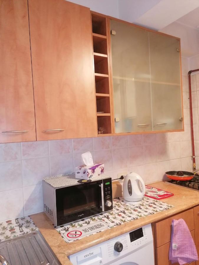 River View, In City Center Apartment Bukarest Exterior foto